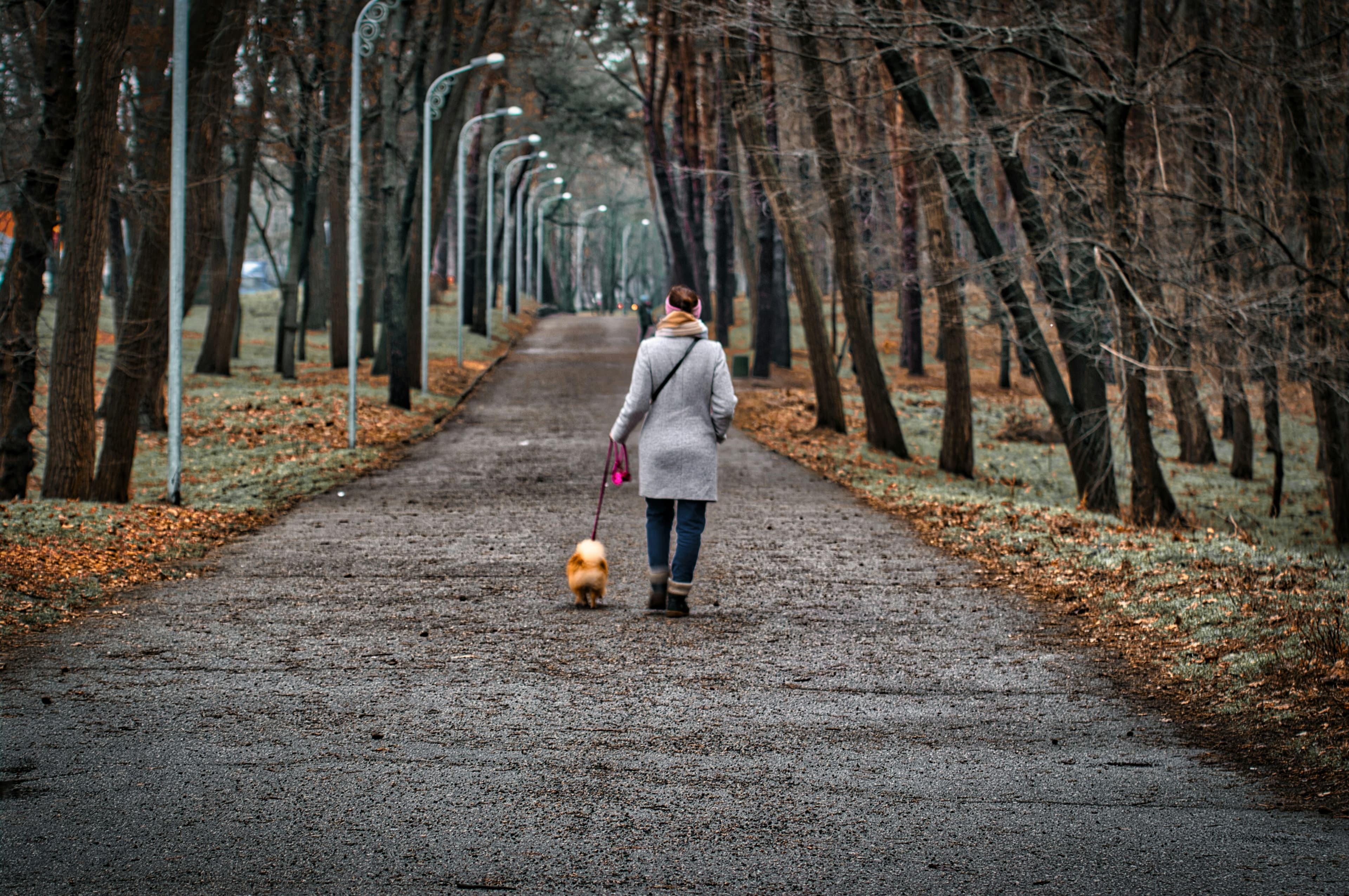 Woman in a grey coat walking a dog on a pathway